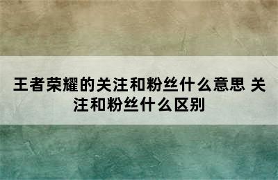 王者荣耀的关注和粉丝什么意思 关注和粉丝什么区别